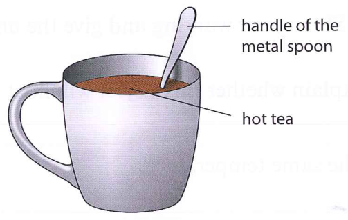 Hình minh họa câu hỏi