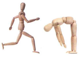 Hình minh họa câu hỏi