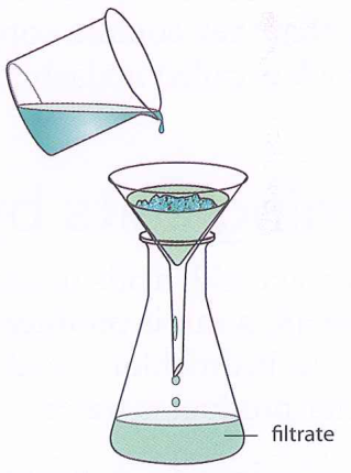 Hình minh họa câu hỏi